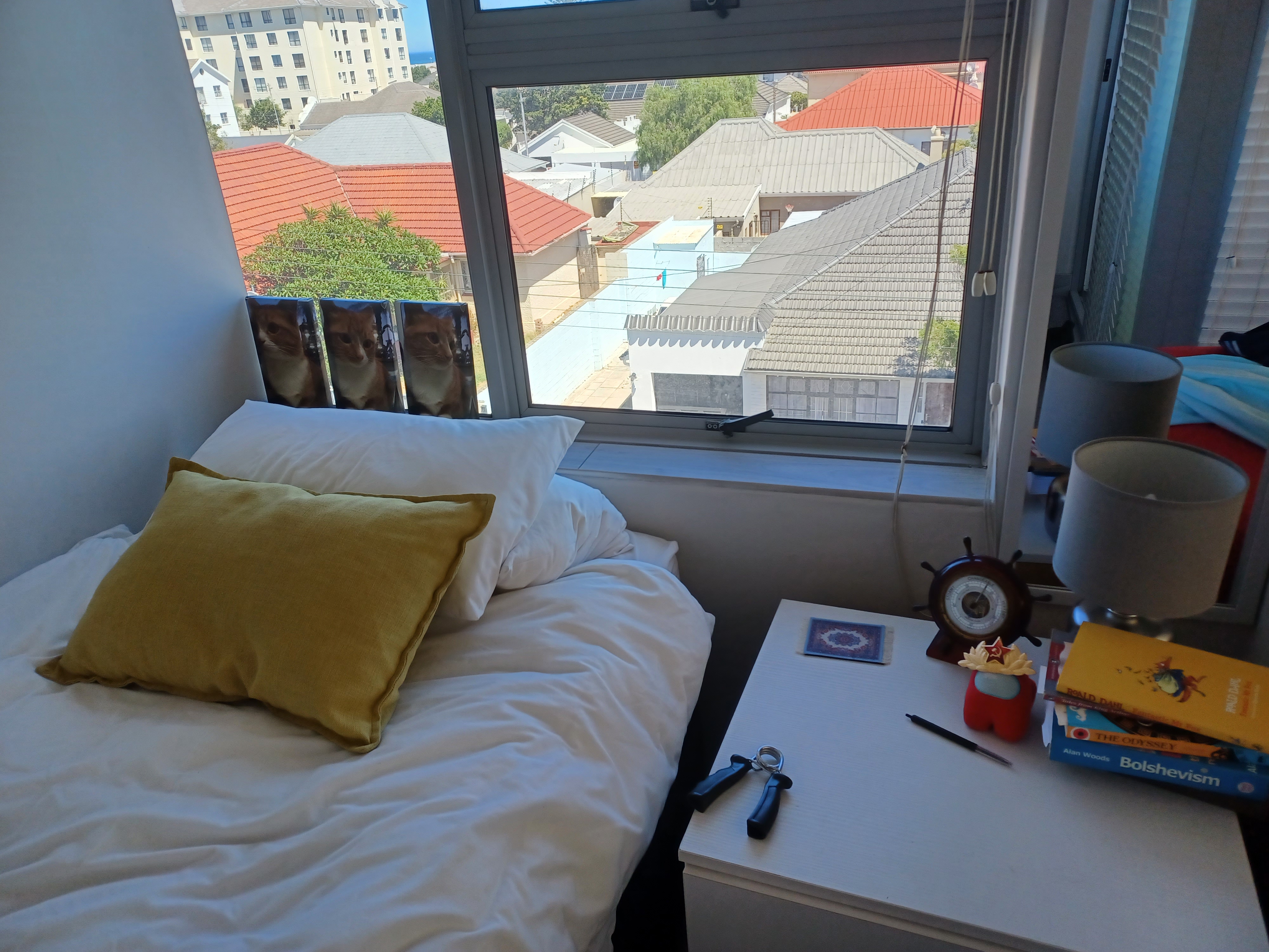 picture of my bed and the view